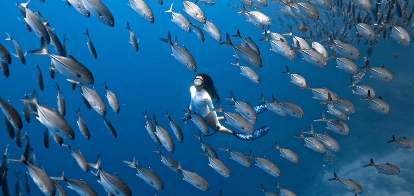 Underwater Fun